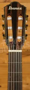 Ibanez FRH10N Solid-Top Cutaway Nylon Guitar - Brown Sunburst Flat