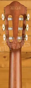 Ibanez FRH10N Solid-Top Cutaway Nylon Guitar - Brown Sunburst Flat