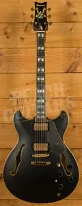 Ibanez Signature Models | JSM20 - John Scofield - Black Low Gloss
