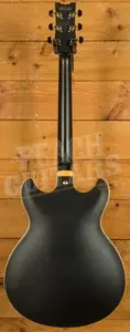 Ibanez Signature Models | JSM20 - John Scofield - Black Low Gloss