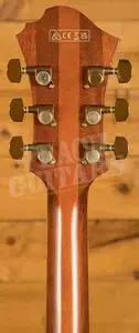 Ibanez PM3C Pat Metheny Hollow Body - Ebony - Natural Amber Low Gloss