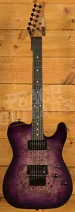 Schecter PT Standard | Purple Burst Burl