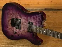 Schecter PT Standard | Purple Burst Burl