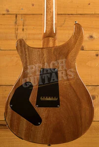 PRS Custom 24 Piezo | Carroll Blue