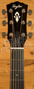 Taylor Gold Label Collection | 517e - Sunburst w/Firestripe Pickguard