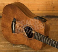 Taylor Baby Series | BTe-Koa