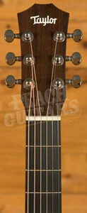 Taylor Baby Series | BTe-Koa