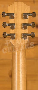 Taylor Baby Series | BTe-Koa