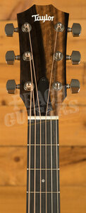 Taylor 200 Plus Series | 212ce Plus