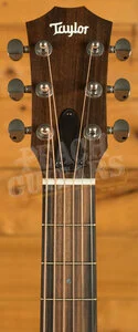 Taylor GS Mini Series | GS Mini Sapele