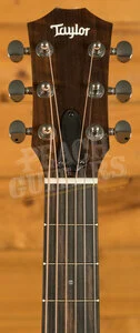 Taylor GS Mini Series | GS Mini Sapele