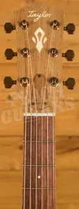 Taylor Gold Label Collection | Ben Harper 512e SE