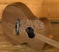 Taylor Jacob Collier Academy 22e 5-String