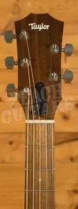 Taylor Jacob Collier Academy 22e 5-String