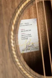 Taylor Jacob Collier Academy 22e 5-String