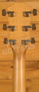 Taylor Academy Series | Academy 12e