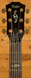 Taylor 400 Series | 414ce Special Edition - Shaded Edgeburst