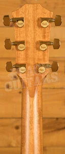 Taylor 400 Series | 414ce Special Edition - Shaded Edgeburst