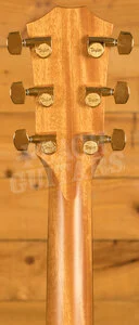 Taylor 400 Series | 414ce Special Edition - Shaded Edgeburst