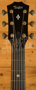 Taylor 300 Series | Builder's Edition 324ce
