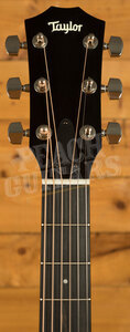 Taylor 400 Series | 414ce Studio - Shaded Edgeburst
