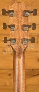 Taylor 400 Series | 414ce Studio - Shaded Edgeburst