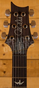 PRS Custom 22 Custom Colour Pattern Regular