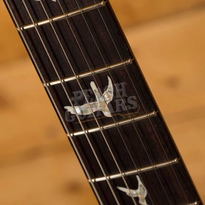 PRS Custom 22 Custom Colour Pattern Regular