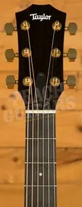 Taylor 217e Plus Special Edition Honeyburst