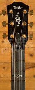 Taylor 400 Series | 414ce Special Edition - Shaded Edgeburst