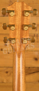 Taylor 400 Series | 414ce Special Edition - Shaded Edgeburst