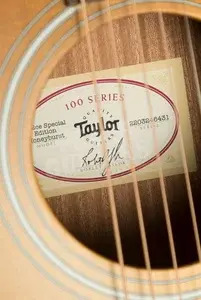 Taylor 112ce Special Edition Honeyburst