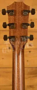 Taylor 800 Series | 814ce Next Generation