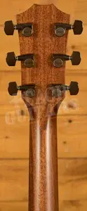 Taylor 800 Series | 814ce Next Generation