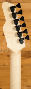 James Tyler Guitars | Studio Elite HD - See thru Turquoise tint over Black Shmear