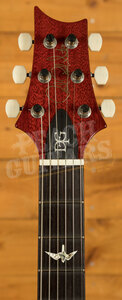 PRS DGT - Dark Cherry Burst w/Bird Inlays *Used*
