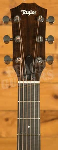 Taylor 14ce