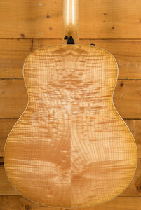 Taylor 600 Series | 618e *Used*