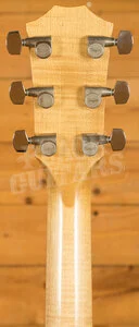 Taylor 600 Series | 618e *Used*