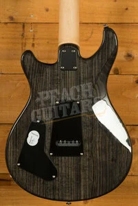 PRS SE Specialty | Swamp Ash Special - Charcoal