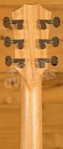 Taylor GS Mini Series | GS Mini Sapele