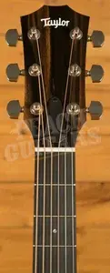 Taylor 200 Plus Series | 212ce Plus
