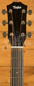 Taylor 200 Plus Series | 214ce Plus