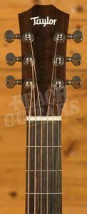Taylor Baby Series | BT1e