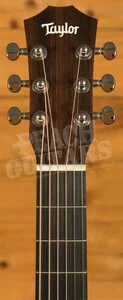 Taylor Baby Series | BT Koa