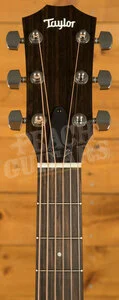 Taylor 100 Series | 112ce