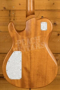 James Tyler Guitars JTG | M1 - Jim Burst Metallic