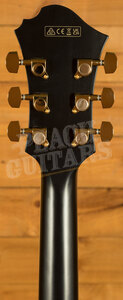 Ibanez Pat Metheny Signature PM3C | Black