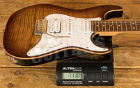 Suhr Standard Plus Bengal Pau Ferro *Used*