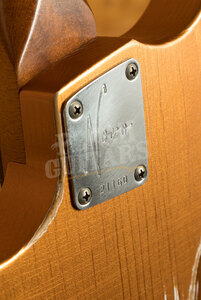 Novo Custom Series Voltur | Aztec Gold *Used*
